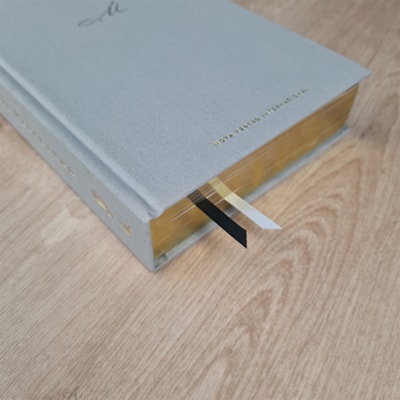 image_442cffbd-19bb-4639-a926-5688a753a8da