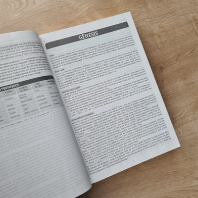 image_1d35132d-bce3-4267-8221-801b753bf888