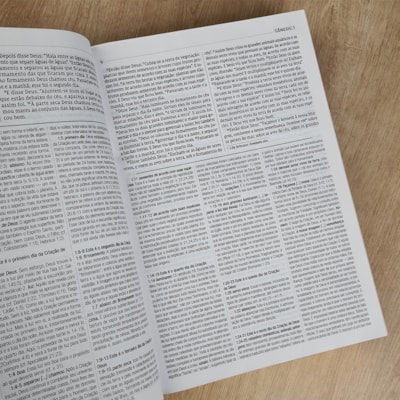 image_02bc5cfa-75f2-4a98-b6de-a8be86853814