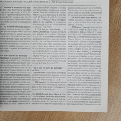 image_018a40c6-243e-4245-8a00-fe7c2cb59752