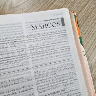 image_0dd1c6ad-4388-4d44-8e9d-7344c7cc2f27