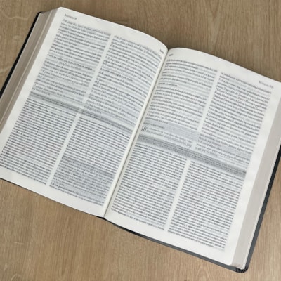 image_8363184b-47f7-4bea-a769-9ea653e5e198