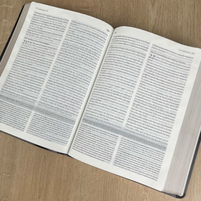 image_4ca8d496-471a-49ad-986a-4bd34b38a8fc