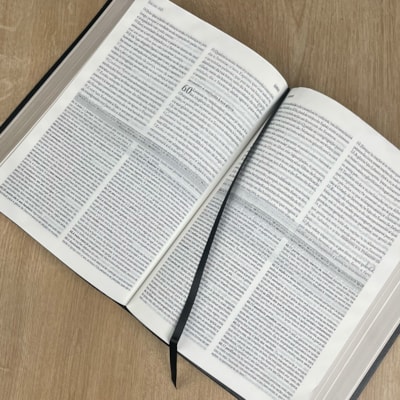 image_43a00b62-88fa-4f51-9425-e77ddffadfd8