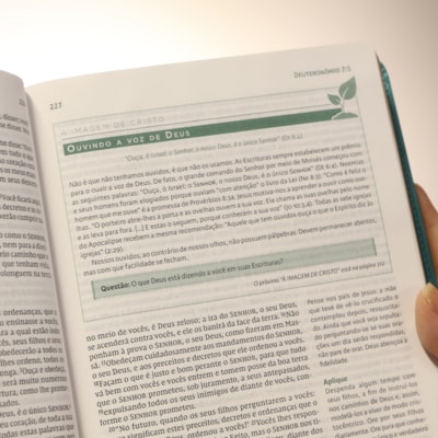 image_b52eb0fe-e630-4504-ba1e-53d1f0df7385