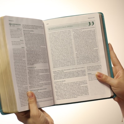 image_c0f5d6eb-14bd-4e22-b75e-8620c6ea8dd2