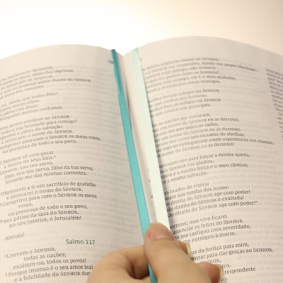 image_58c4d2c9-a527-4dcb-8a9b-794756431fc0