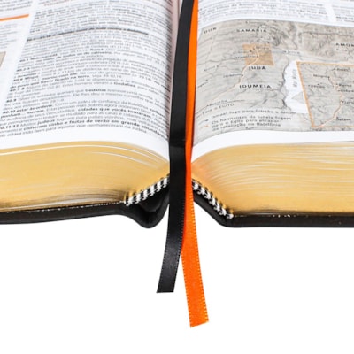 image_3df95ae3-61dc-434d-994d-3c9b918ea429