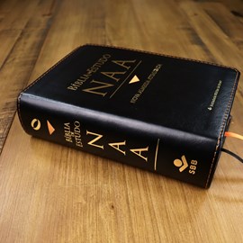 Bíblia de Estudo | NAA |  Letra Normal |  Tamanho Portátil | Capa Luxo