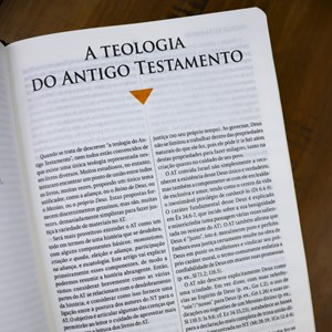 Bíblia de Estudo | NAA |  Letra Normal |  Tamanho Portátil | Capa Luxo