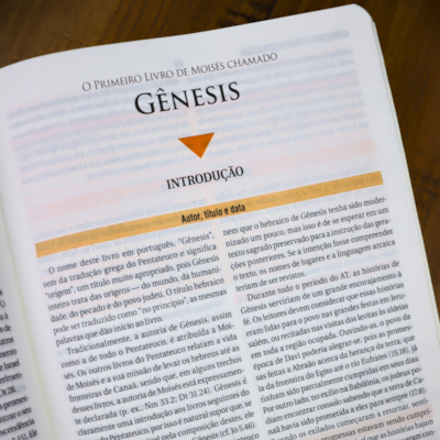 image_9bd7f913-6a86-4247-ae70-42feec7be380