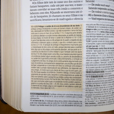 image_540b77b9-ead1-4335-ac0e-171584e3063b