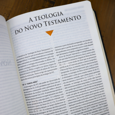 image_9ee19614-132f-4031-813e-6f16bf7a1f12