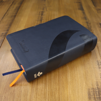 image_7d6df418-a534-4062-be54-c47dcab07d17