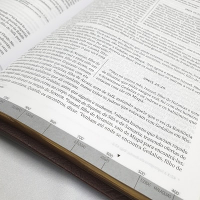 image_01fcc33d-4400-4642-856c-5ead32b32de0