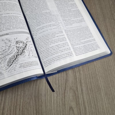 image_825a9028-f796-407b-881e-adf74a2a599e