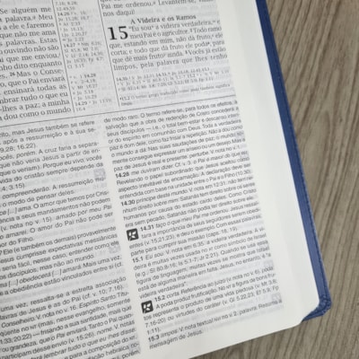 image_a9b18bcf-8de6-425a-97d6-ba6ac4d4bfcd