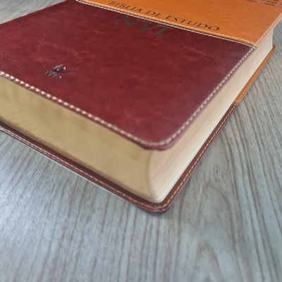 image_b94efb2d-79ee-491e-8972-6a6b75fde5d9