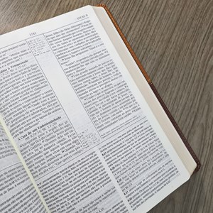 Bíblia de Estudo | NVI | Letra Normal | Capa Luxo Marrom e Caramelo