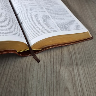 image_76fe1294-1140-4abb-82f3-99e5f9a7d4bf