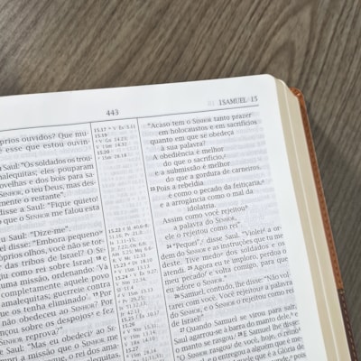 image_5bd0dd64-a87e-466c-90ce-c6fffa92f488