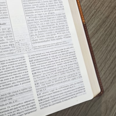 image_bc57d954-f7cc-4fd9-b76b-7d451265a9bf