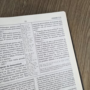 Bíblia de Estudo | NVI | Letra Normal | Capa Luxo Preta