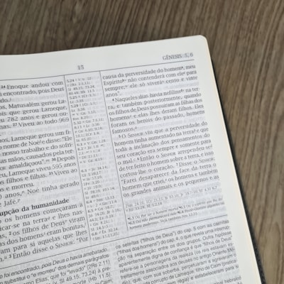 image_2dd0c6e2-c113-49fd-b86e-867e9105f50a