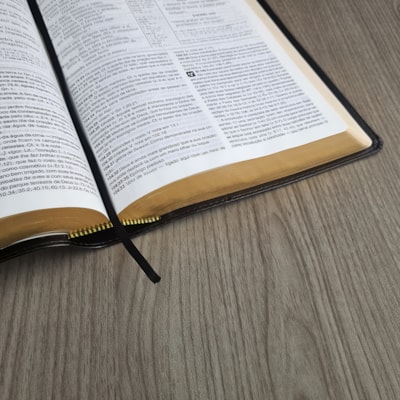 image_8a304a4d-53ec-4c9d-9931-004f2730f21c