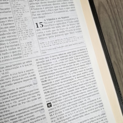 image_6de32d9e-d9e1-4c1c-9a25-2d7ca06ba83f