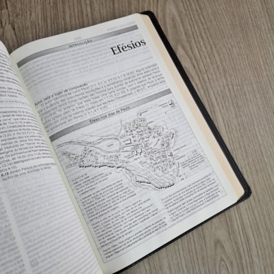 image_63708f82-a3c1-4ce4-801a-1d2d5e415926