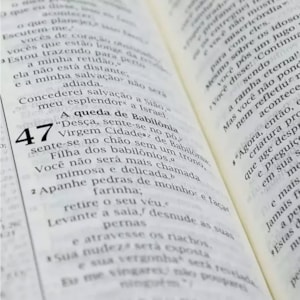 Segunda imagem do produto Bíblia de Estudo | NVI | Luxo Marrom e Marrom Escuro | Sem Índice