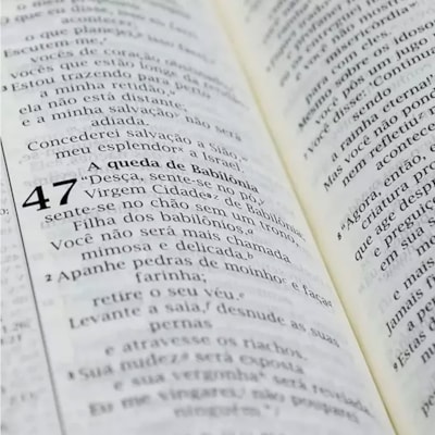 image_35dbc234-7221-47d9-923b-0aa2d1597780