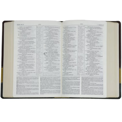 image_d50fe595-e3eb-496c-b048-de30da718844