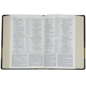 Segunda imagem do produto Bíblia de Estudo | NVI | Luxo Verde, Bege e Vinho