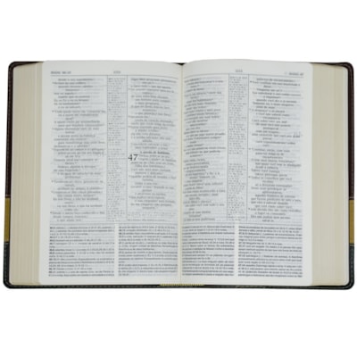 image_3323431d-7778-4a73-8c9d-c097ca518fba