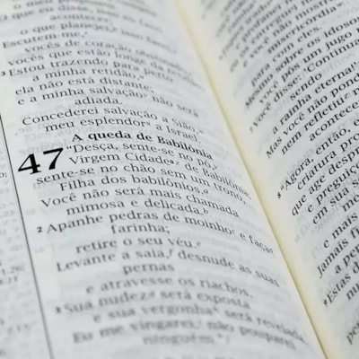 image_cb8457f7-6ab0-40ad-8843-014899f983a6