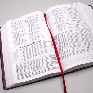 Bíblia de Estudo | NVT | Capa Dura Vinho