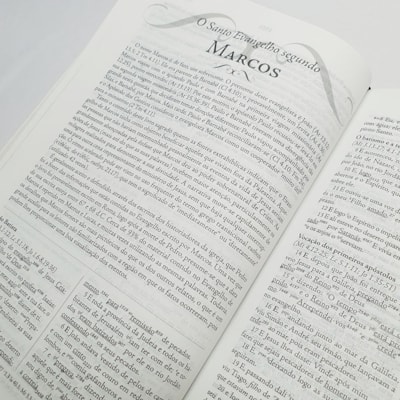 image_d231349b-4210-4865-8adc-119ff84775f3