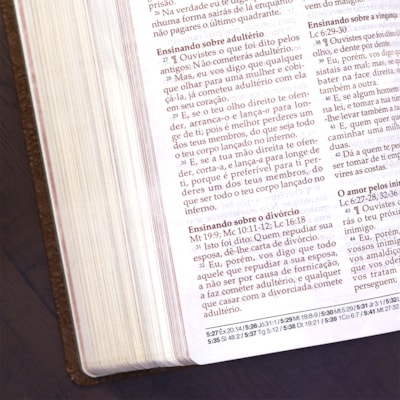 image_072cf78a-d266-4141-83aa-c73195ef4d47