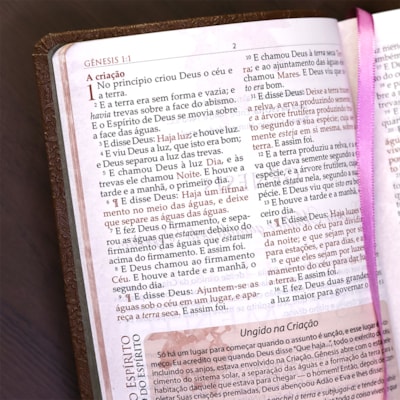 image_242066e3-7d7a-4d0f-bfc7-75de29973485