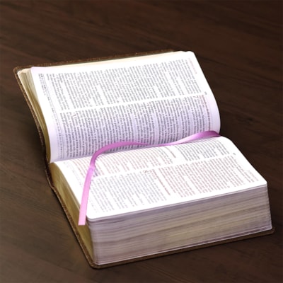 image_4e996e5b-20b8-4166-ad79-e408c2abf00e