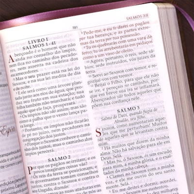 image_e0181ab1-ab2f-42d2-9e93-8611b3964008