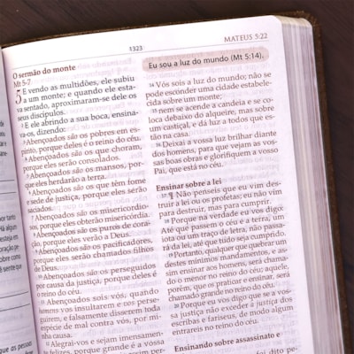 image_204bc56c-ffad-4579-b459-bb3e3abd8e35