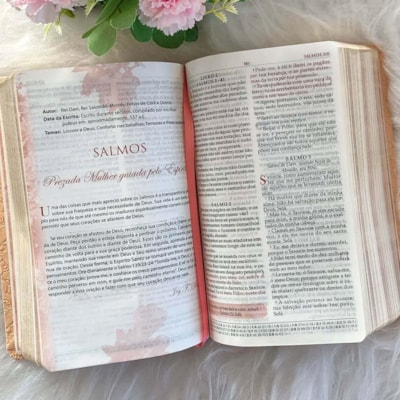 image_b540e77d-56b3-4500-8a98-2d75245da240