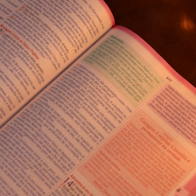 image_1eb15aa6-3489-4c2b-aed9-d0ae7793ace0