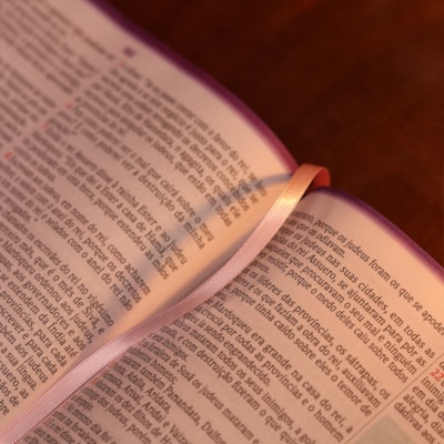 image_4a69fe17-7ef5-4f13-b878-1684c60be9fc