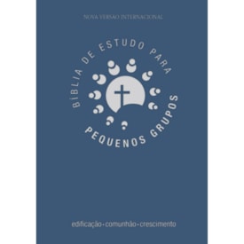 Bíblia de Estudo para Pequenos Grupos | NVI | Letra Normal | Azul
