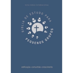 Bíblia de Estudo para Pequenos Grupos | NVI | Letra Normal | Azul