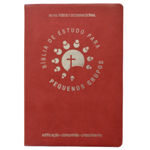 Bíblia de Estudo para Pequenos Grupos | NVI Letra Normal | Vermelha